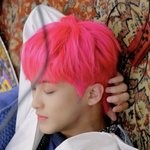 [NCT즌] 근데 진짜..그냥 핑크도 아니고 <b>네온</b>핑크로 염색을 시켰을까