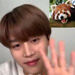 [NCT즌] <b>느무</b>예쁘다