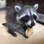 [댓글부탁해] 얘들아 나 <b>뷰러</b> 조카 못하는거 맞지..?