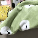 너네 <b>담요</b> 머야