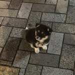 <b>에뛰드</b> 왜 계속 없어지냐