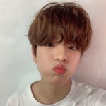 [스키즈] 아 근데 그린<b>티</b> 본델리슈 진짜 맛있어