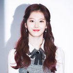 트와이스 개인활동 왜안함??