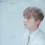 [더보이즈] 얘들아 <b>개오지</b>는 짤 찾았다