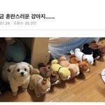 [댓글부탁해] 병크 터진 1군vs클린한 망돌