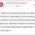 지고 일어나면 추운거 <b>싱기</b>하지 않음?
