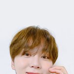 [세븐틴] 승과니<b>최애</b>짤
