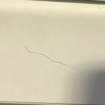 [댓글부탁해] 진지하게 나 <b>소중이</b> 털 왤케길음..?