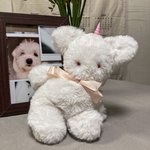 [댓글부탁해] 나 인형 만들었어 봐줘..