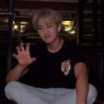[세븐틴] ㅅㄷ근데 입덕하기전에도