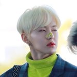 [세븐틴] 호시 <b>이때</b> <b>사진</b> 있는 럿