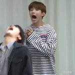 [세븐틴] 이사진뭔데<b>저장</b>되어있냐