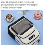 이가방 너무 <b>잼민</b>이 같은지 추반좀