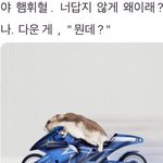 근데 일본에서 잘생기게 태어나는게 더