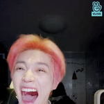 [NCT즌] 파프리카 <b>수준</b>이 아닌데