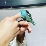 새 가족이 생긴 송민호