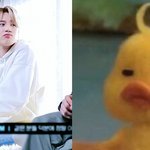 [방탄소년단] 박지민 뿅아리 아님?