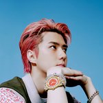 [EXO] 여기 너무 <b>조용</b>해서 글써봄
