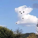 블랙헤드 클렌징<b>오일</b>로 코 문질문질하면