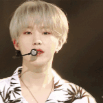 [세븐틴] 각자 이 멤버 이 <b>머리색</b>이 ㄹㅈㄷ였다 추천ㄱㄱ
