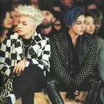 태양 <b>지디</b>