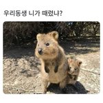 [무한분열] 아니 틧터에서 누가 이거 런진이랑 지송이라는데