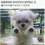 귀(<b>여운</b>)짤