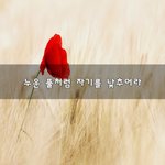 [좋은생각] 누운 풀처럼 자기를 낮추어라~