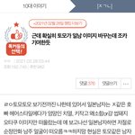 <b>토모</b>가 일남 이미지를 뭘 바꿔 ㅈㄴㅋㅋㅋ