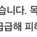 [세븐틴] 자꾸 뭘 목격했다하는데