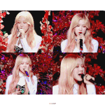 [이것좀봐줘] 글 올려줘 블랙핑크 로제 악플 유도