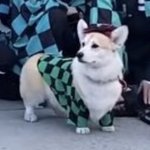 [댓글부탁해] 얘들아 니네 이거 가능함?