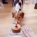 [NCT즌] 하... 개좋다