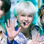 [NCT즌] 난 그냥 노루궁댕이<b>버섯</b>을 좋아하는듯