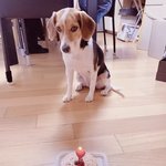 [NCT즌] 오늘 <b>벨라</b>공주 생일이였네