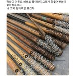 [진격의거인] 이거 미카사 같아