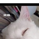 남친한테 준 선물은 데이트<b>비용</b>이야?