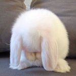 [드루와] 여드름 일주일안에 없애기 가능? 사진주의