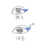 쌍커풀라인 긴 애는 <b>아라</b> 못올려그림??ㅠㅠ
