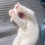 [드루와] 얘들아 나 오늘 <b>징조</b>가 좋음