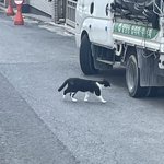 [이것좀봐줘] 포항 <b>장성</b>고인 판녀 있니~~~