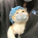 [댓글부탁해] 지방 ㅈ반고에서 <b>설의</b> 가는거