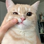 [조언부탁해] 이 남자 심리 어떤거같아?