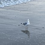 [댓글부탁해] 고등학교 <b>분반</b>인데 합반쓸걸 후회됨