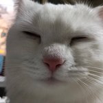[드루와] 더 탈빠 말리는 거 골라줘