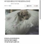 아 개웃겨 <b>수발</b>