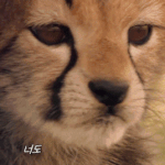 [NCT즌] 평생자랑해줄게오늘학교안가게해줘