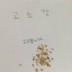 [댓글부탁해] 니네 <b>치마</b> <b>길이</b> 어느정도임
