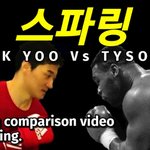 [모두드루와] dk <b>yoo</b> 와 타이슨의 스파링비교