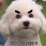 [드루와] 쌍테쌍액 <b>눈살</b> 쳐진 애들 복구방법 알려줌